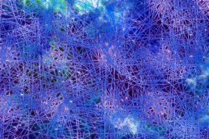 Cosmic Web of Interconnectedness, Oneness and Unity